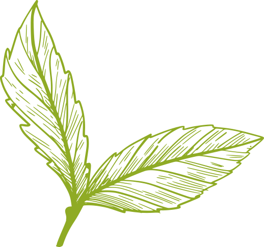 Living Garden